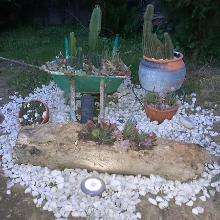 Bellas Glamping Arrentela